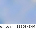 水彩般的模糊背景（藍色/紫色） 116934346