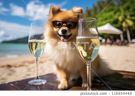 Cool spitz dog in sunglasses enjoying a beachside cocktail - summer vacation concept Cool spitz dog in sunglasses enjoying a beachside cocktail - summer vacation concept 116934448