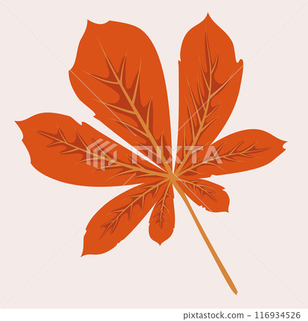 Autumn chestnut leaf. Decorative autumn foliage.Template for illustrations. Vector 116934526