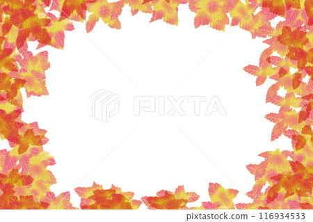 Coleus Card 1 Coleus Card 1 116934533