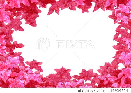 Coleus Card 2 116934534