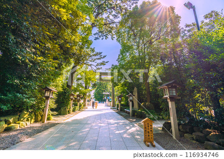 日本寒川市容 - 相模國一宮 寒川神社、鳥居、庭園等景色 = 2020 年 7 月 21 日 116934746