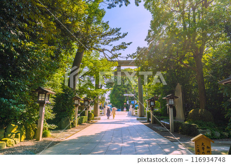 日本寒川市容 - 相模國一宮 寒川神社、鳥居、庭園等景色 = 2020 年 7 月 21 日 116934748