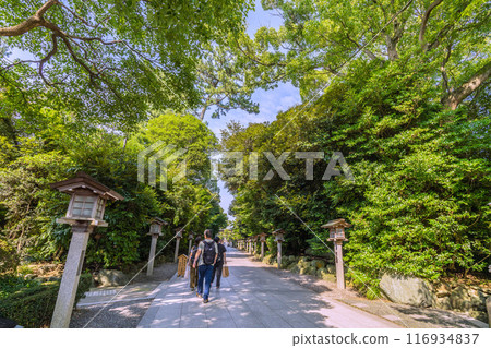 Samukawa cityscape in Japan - View of Samukawa Shrine, Ichinomiya of Sagami Province, and its grounds (July 21, 2024) 116934837