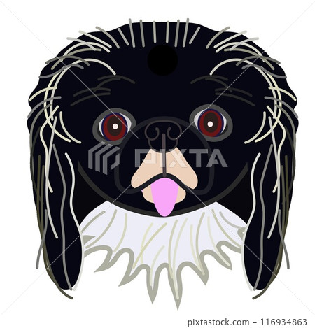 Illustration of a Chin's face Illustration of a Chin's face 116934863