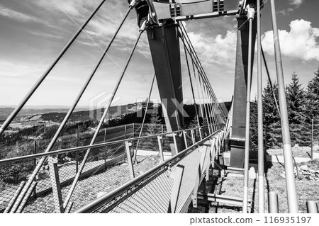 Close-up of the support beams and railing on Sky Bridge 721 in Dolni Morava Resort, Czech Republic, stretching across a valley with trees in the background. Black and white image. Close-up of the support beams and railing on Sky Bridge 721 in Dolni Morava Resort, Czech Republic, stretching across a valley with trees in the background. Black and white image. 116935197