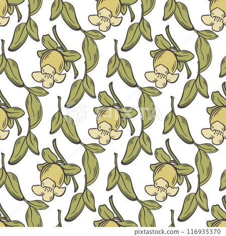 Persimmon blossom seamless pattern vector graphics 116935370