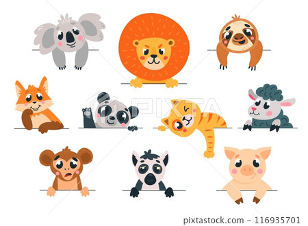 Animal looking out. Different emotional animals peeking and peeping. Childish stickers with funny pets. Cartoon sloth panda fox koala, classy vector set 116935701