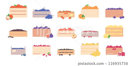 Fruits and berries in wooden boxes. Pear apple pomegranate peach lemon grape. Strawberry cherry and raspberry. Harvest farm market racy vector elements 116935738