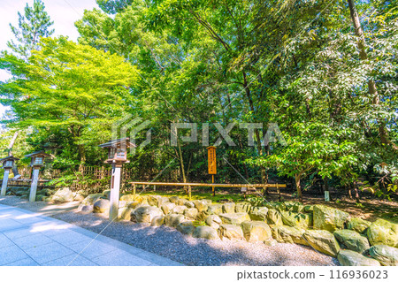 日本寒川城市景觀，相模國一宮寒川神社。植樹紀念天皇陛下和皇后陛下的禮物 = 2020年7月21日 116936023