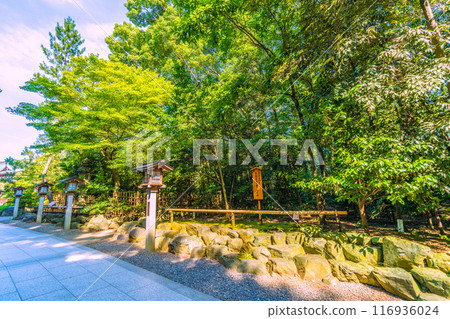 日本寒川城市景觀，相模國一宮寒川神社。植樹紀念天皇陛下和皇后陛下的禮物 = 2020年7月21日 116936024