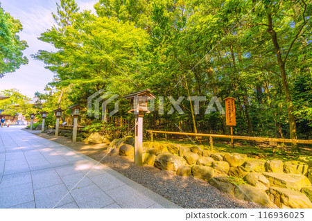 日本寒川城市景觀，相模國一宮寒川神社。植樹紀念天皇陛下和皇后陛下的禮物 = 2020年7月21日 116936025
