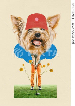 Contemporary art collage. Dog-headed golf player stands ready to hit ball against abstract beige background as green field. Contemporary art collage. Dog-headed golf player stands ready to hit ball against abstract beige background as green field. 116936138