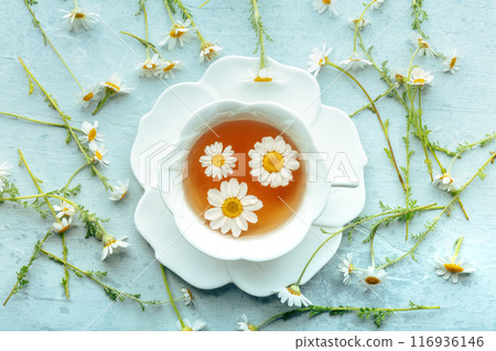 Chamomile flower tea. A tea cup with infusing blossoms, overhead flat lay Chamomile flower tea. A tea cup with infusing blossoms, overhead flat lay 116936146
