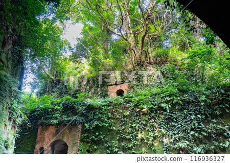 Sarushima, Yokosuka City, Kanagawa Prefecture 116936327