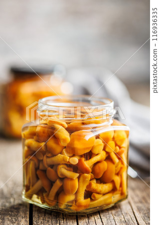 Pickled nameko mushrooms.Traditional japanese mushrooms in jar on wooden table. 116936335