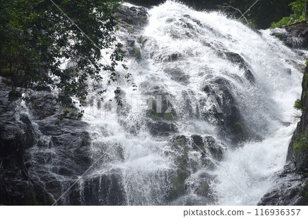 landscape of Sarika big waterfall in forest travel location on Thailand 116936357