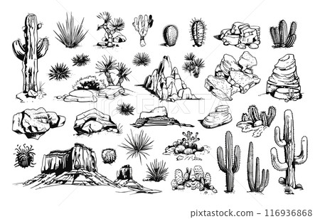 Desert Landscape Elements Engraving Icon Set Low Detailed Sketch White Background Vintage Style Arid Scenery Cacti Sand Dunes Rocky Outcrops Desert Flora Graphic Design Elements Desert Landscape Elements Engraving Icon Set Low Detailed Sketch White Background Vintage Style Arid Scenery Cacti Sand Dunes Rocky Outcrops Desert Flora Graphic Design Elements 116936868