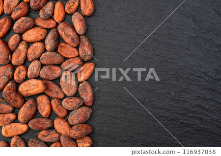 Cocoa beans grain texture . Ingredient for preparating chocolate 116937038