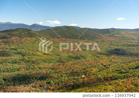 Views overlooking White Mountain National Forest during the beginning of Fall. 116937042