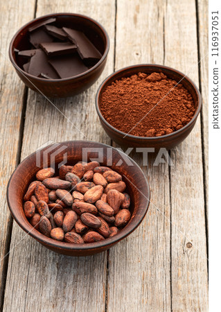 Cocoa beans grain in bowl . Ingredient for preparating chocolate 116937051