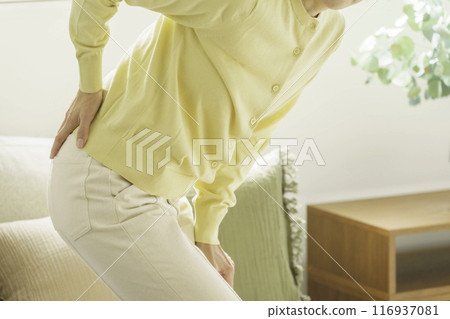 Close-up of a woman's waist holding her hips Close-up of a woman's waist holding her hips 116937081