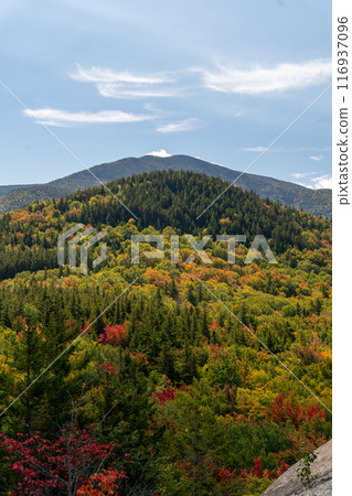Views overlooking White Mountain National Forest during the beginning of Fall. 116937096