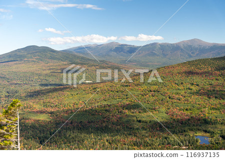 Views overlooking White Mountain National Forest during the beginning of Fall. 116937135
