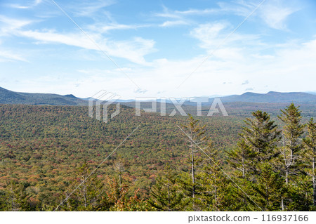 Views overlooking White Mountain National Forest during the beginning of Fall. Views overlooking White Mountain National Forest during the beginning of Fall. 116937166