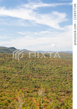 Views overlooking White Mountain National Forest during the beginning of Fall. 116937186