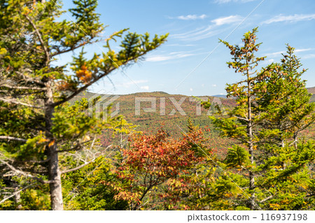 Views overlooking White Mountain National Forest during the beginning of Fall. 116937198