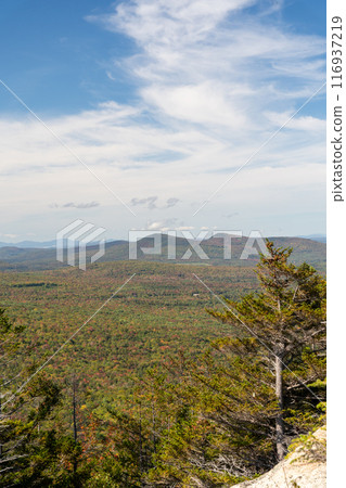 Views overlooking White Mountain National Forest during the beginning of Fall. 116937219