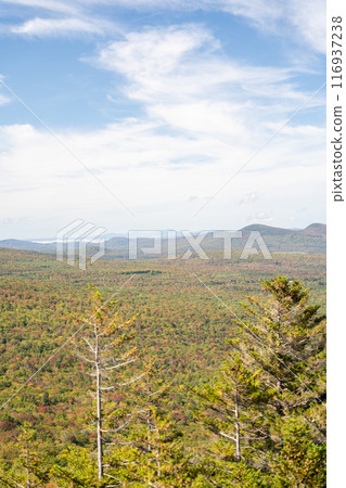 Views overlooking White Mountain National Forest during the beginning of Fall. 116937238