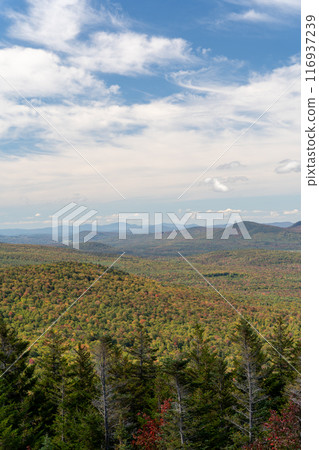 Views overlooking White Mountain National Forest during the beginning of Fall. Views overlooking White Mountain National Forest during the beginning of Fall. 116937239