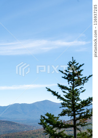 Views overlooking White Mountain National Forest during the beginning of Fall. Views overlooking White Mountain National Forest during the beginning of Fall. 116937285