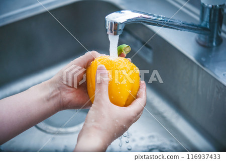 wash hands wash hands 116937433