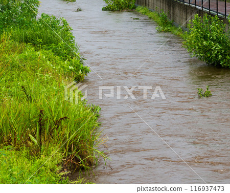 Rising river 116937473