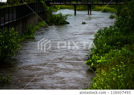 Rising river 116937493