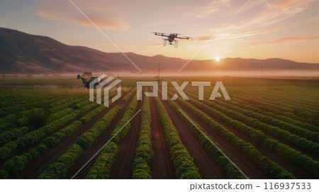 A high-tech farm at dawn, where drones tend huge green fields of crops. 116937533