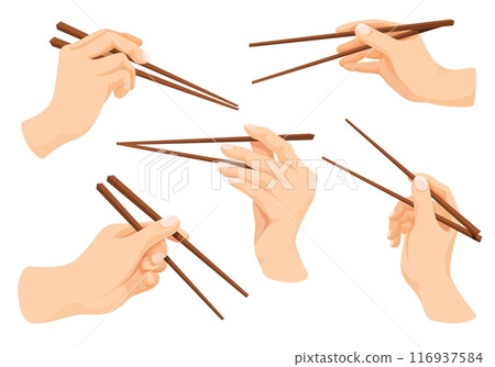 Hand hold chopsticks. Hands holding chopstick for eat asian seafood, japanese chop stick japan chinese sushi food eating tool in arm, oriental cartoon neat vector illustration 116937584