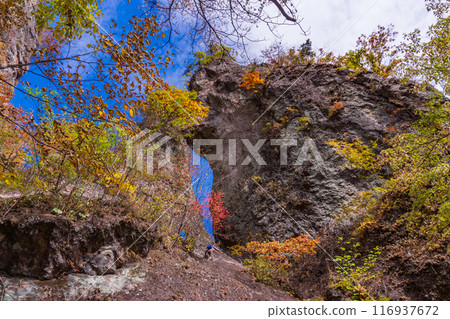 [Gunma Prefecture] Visiting the stone gates of Mt. Myogi in autumn leaves: Second stone gate and crabs 116937672