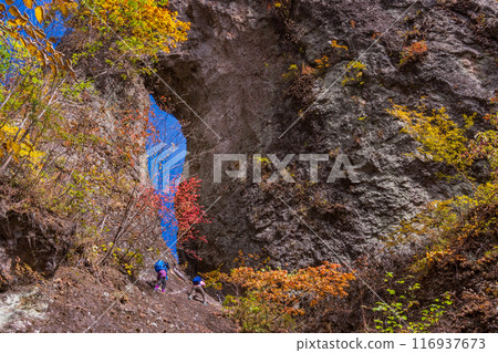 [Gunma Prefecture] Visiting the stone gates of Mt. Myogi in autumn leaves: Second stone gate and crabs 116937673