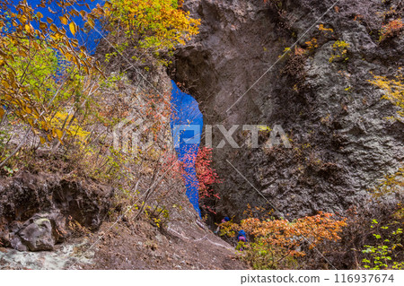 [Gunma Prefecture] Visiting the stone gates of Mt. Myogi in autumn leaves: Second stone gate and crabs 116937674
