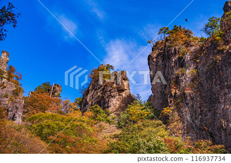 [群馬縣]妙義山紅葉之巔 116937734