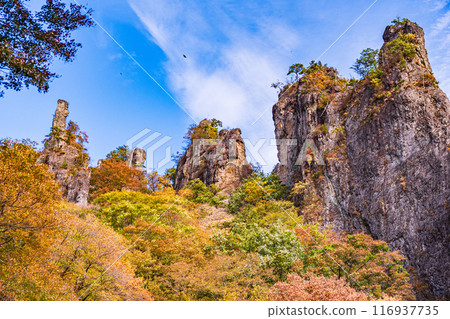 [群馬縣]妙義山紅葉之巔 116937735