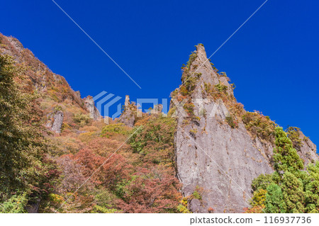 [群馬縣]妙義山紅葉之巔 116937736