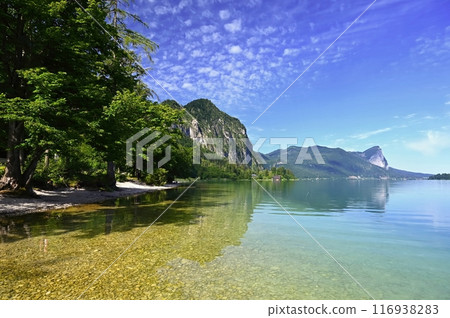 Landscape with nature. Beautiful and clean lake in the Austrian Alps - Mondsee. The Salt Chamber region - the federal state of Upper Austria. Concept for travel, vacation, environment and tourism. 116938283
