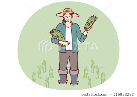 Farmer girl on rice plantation with rice sprouts during harvest season of organic wheat crop 116938288