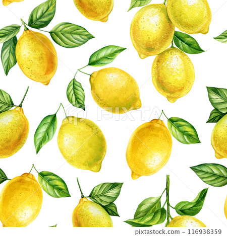 Lemon seamless pattern, watercolor botanical hand drawn realistic lemon painting. Fruit illustration citrus background 116938359