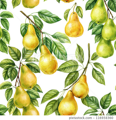 Pear leaves seamless pattern background, pear realistic watercolor botanical painting, design for fabric, textile, paper 116938360